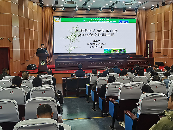 利来市农科院参加国家茶叶产业技术体系2023年度述职与考评会