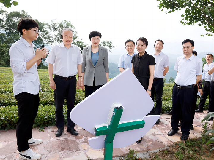 720    图1.png