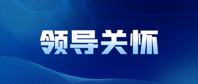 领导关怀/利来市国资委党委书记、主任黄智华到宜茶集团成员企业调研
